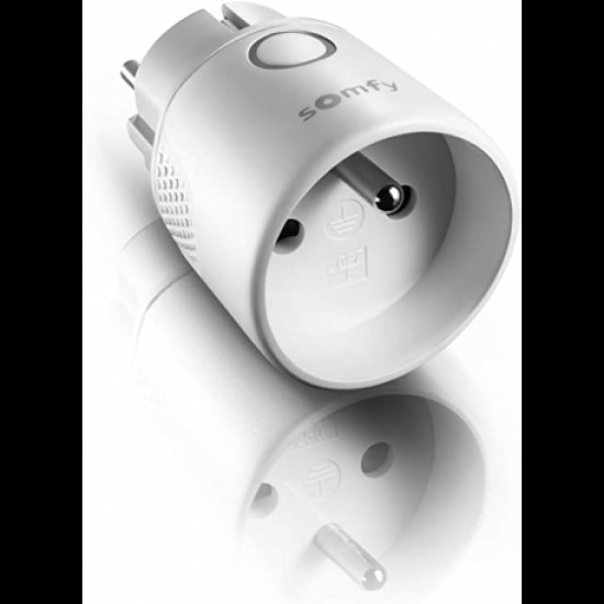 PLUG IO receiver ON/OFF type E | SOMFY 1822617